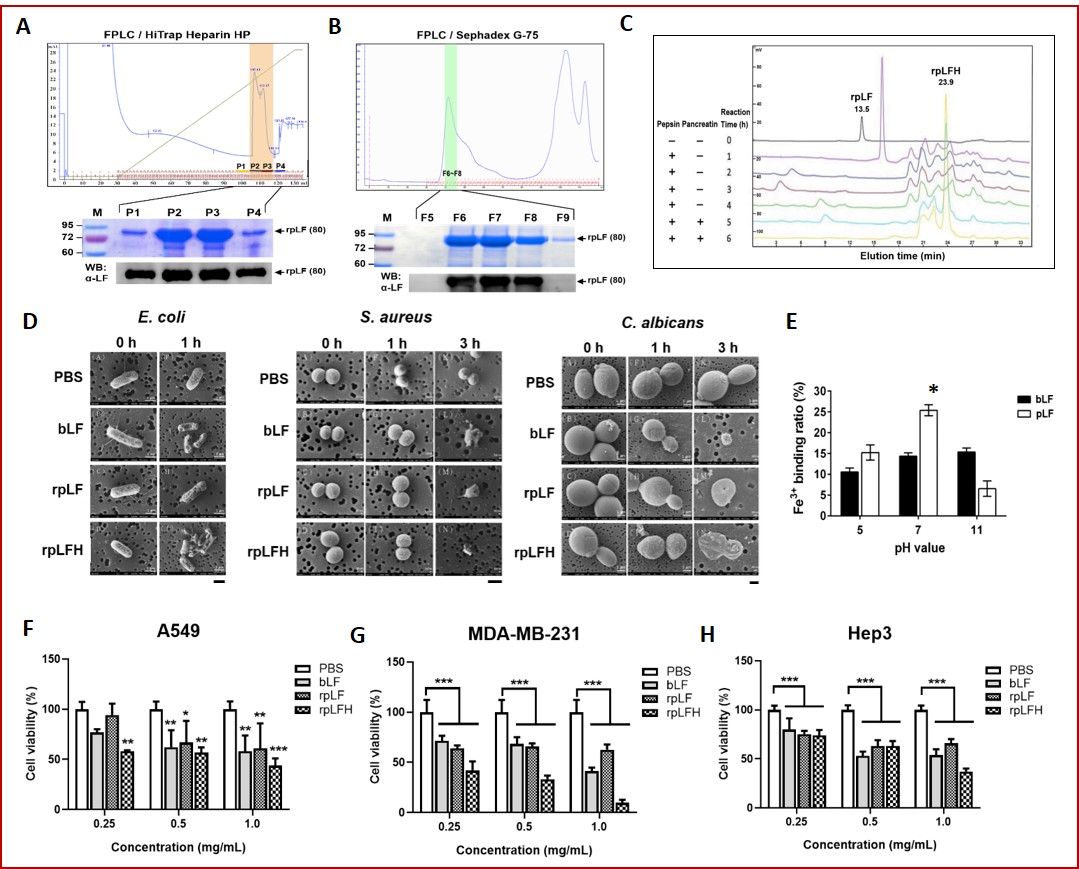 113Research-Fig.1