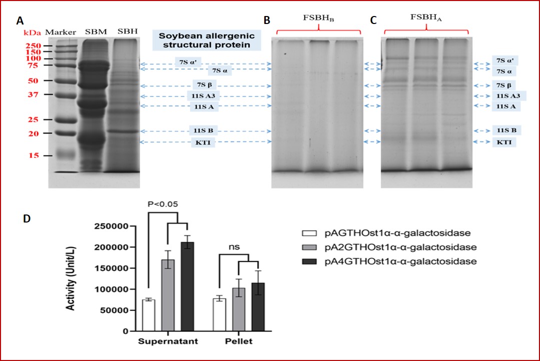 113Research-Fig.2_Ost1α, FSBHB activity