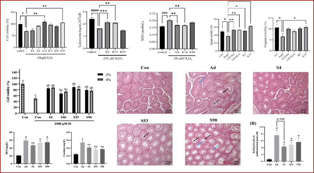 113Research-Fig.3-yeast and intestine