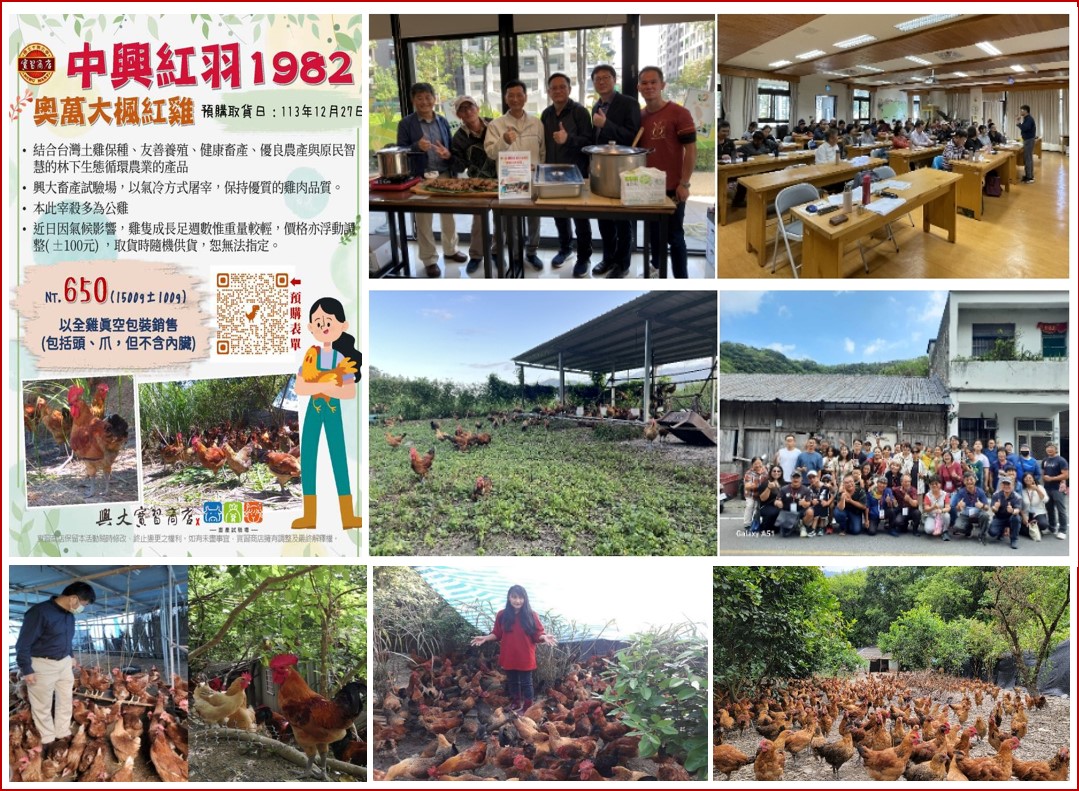 113Research-Fig.7-chicken