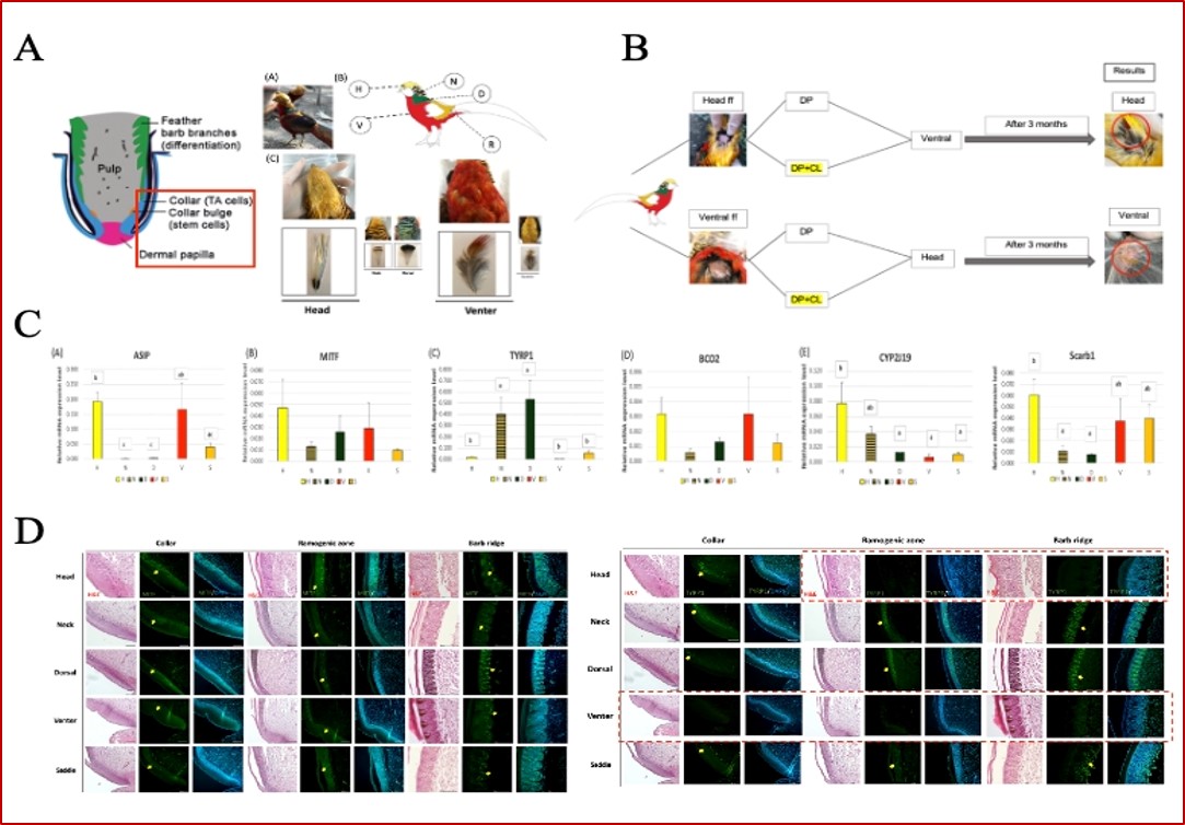 113Research-Fig.9