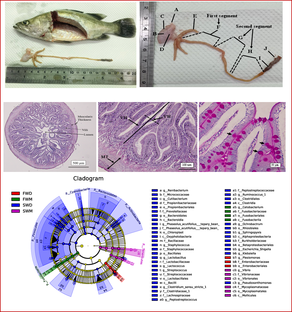 Research-Fig_03-Fish